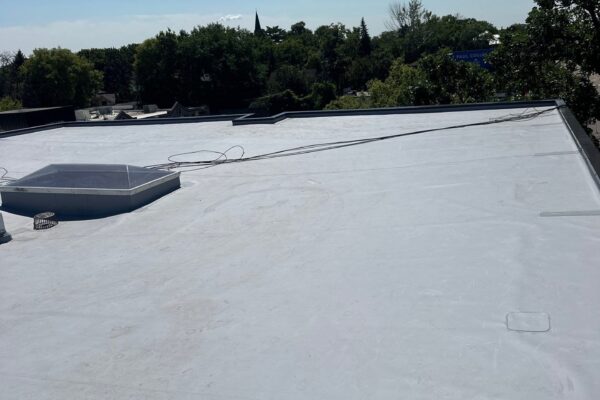 Apartment building tpo roof replacement st paul mn