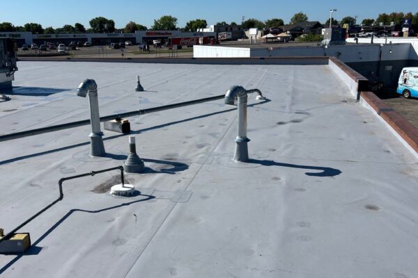 Restaurant tpo roof replacement st michael mn